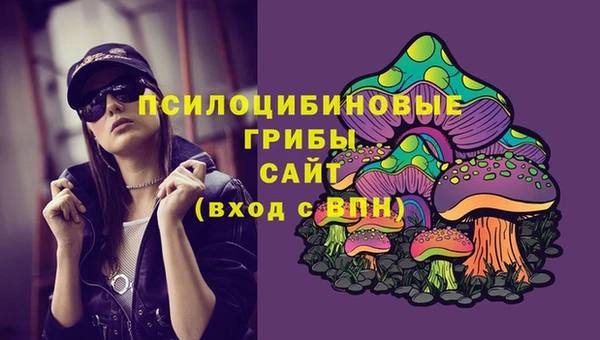 бошки Ростов